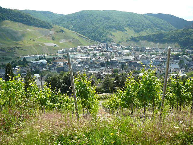 Bernkastel und Weinberge