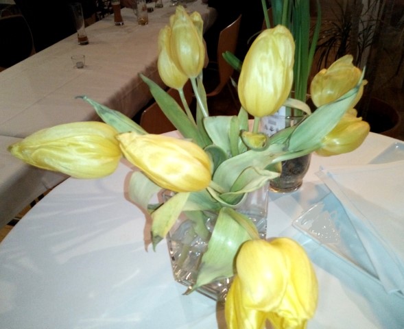 Tulpen