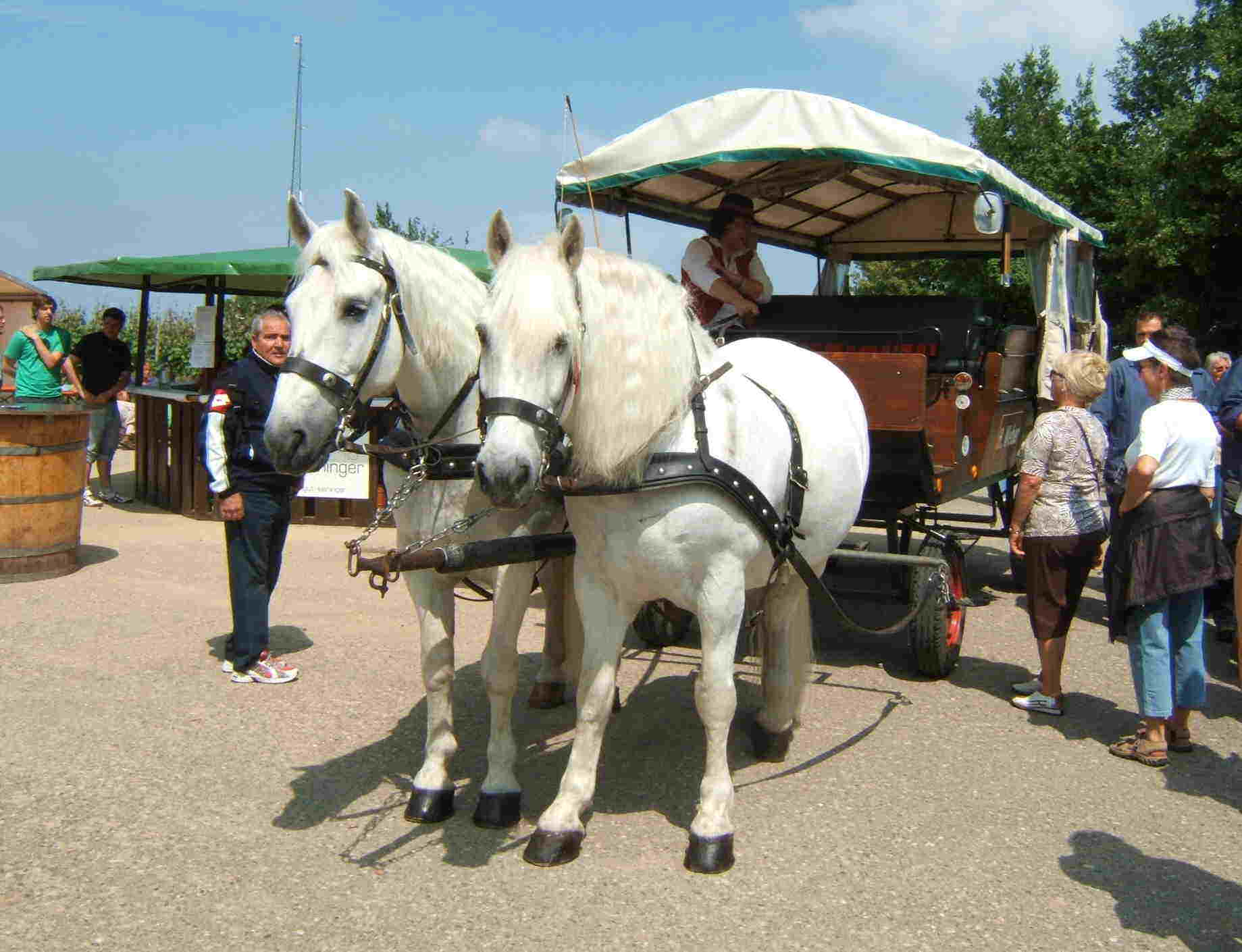 Kutschfahrt