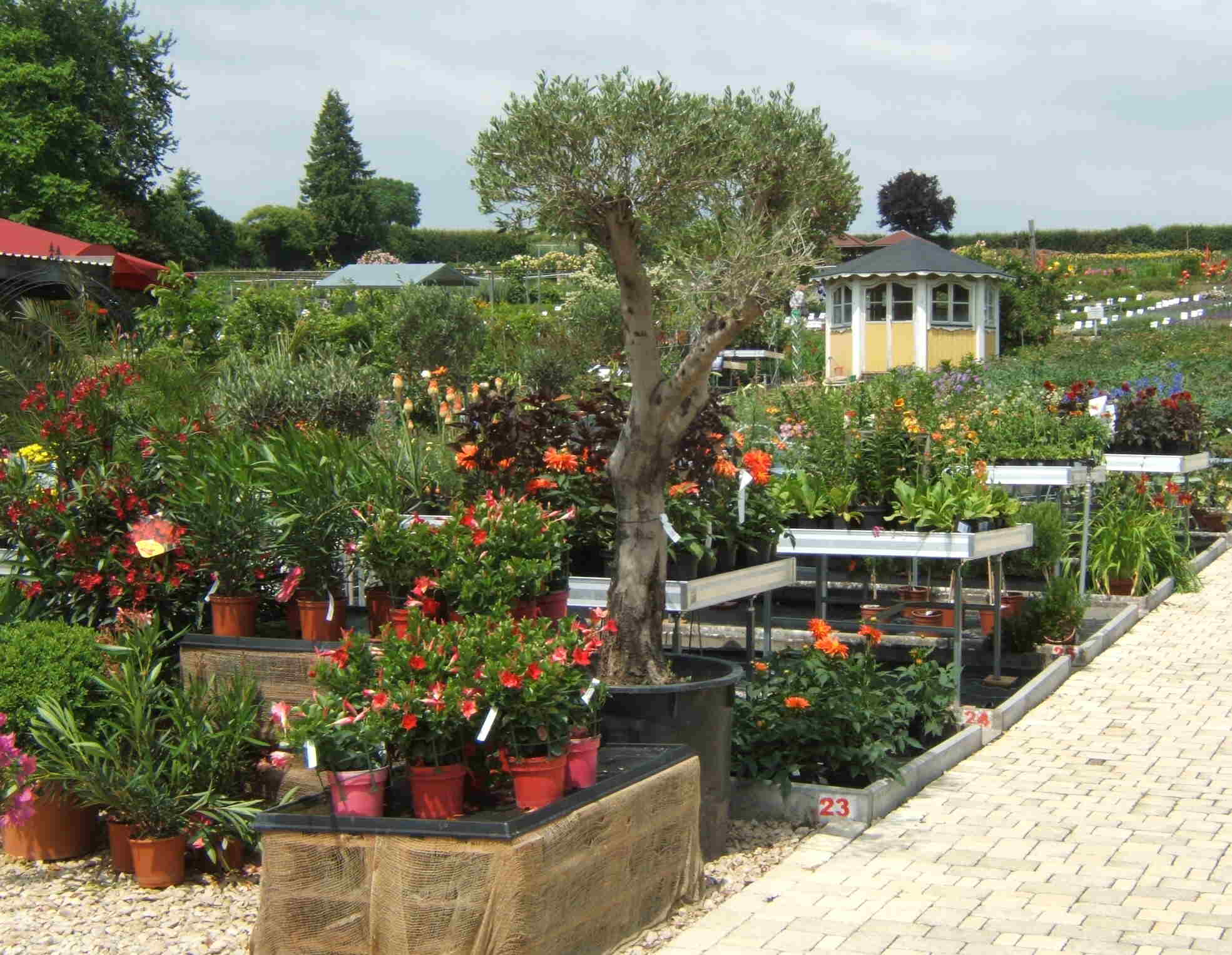 Staudengarten