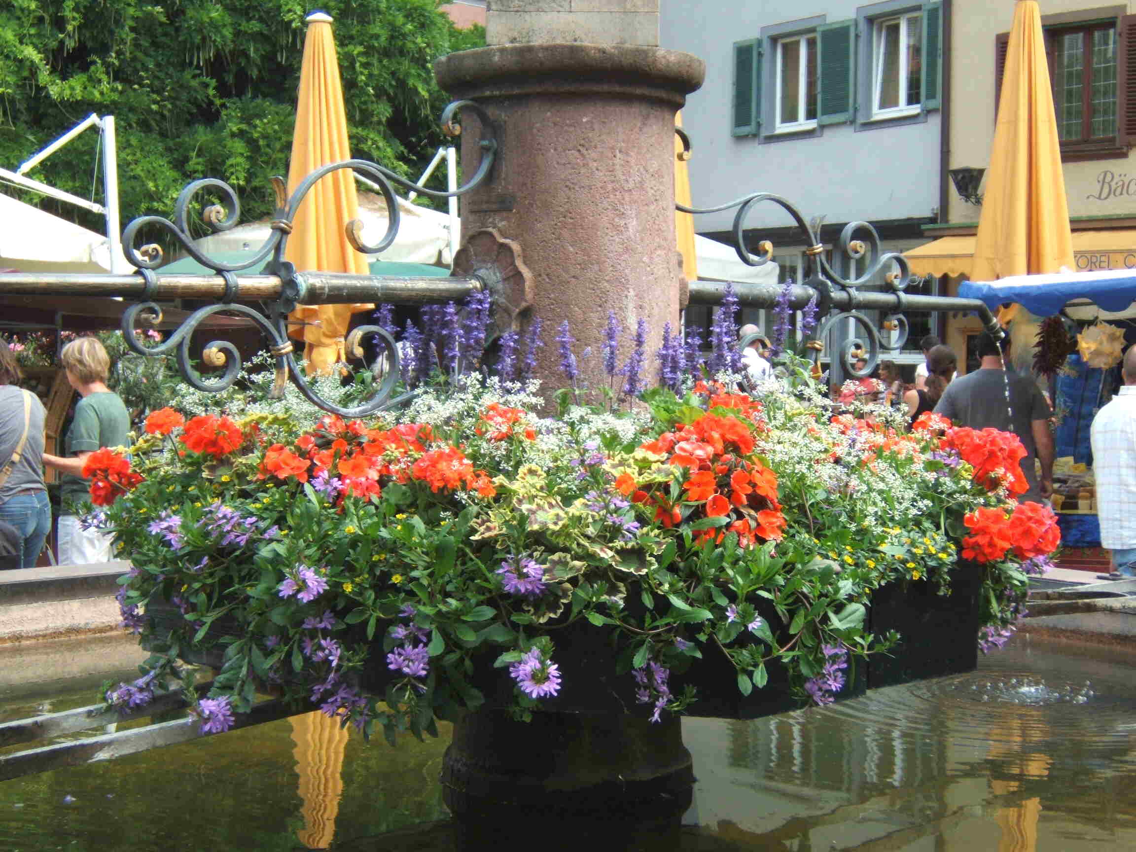 Blumenbrunnen in
                        Staufen