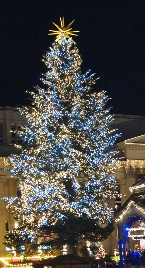 Weihnachtsbaum