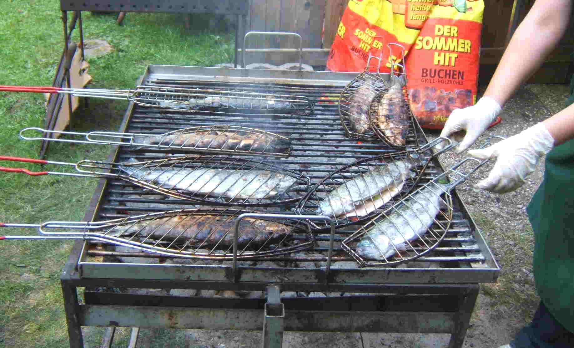 Herrliche
                          Forellen