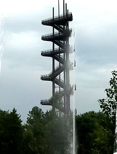 Rheinaue