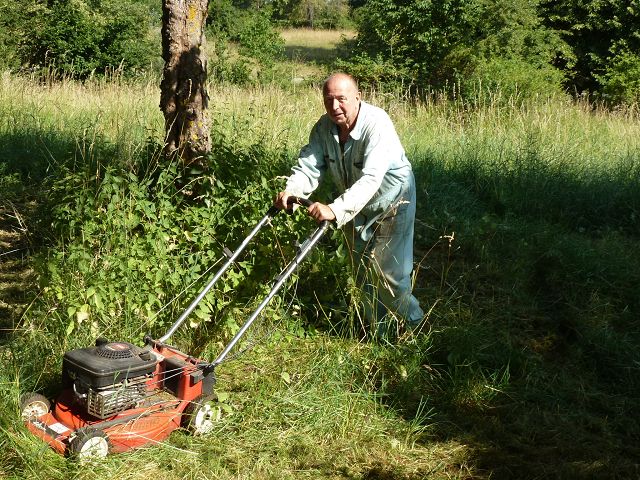 Werner in Aktion