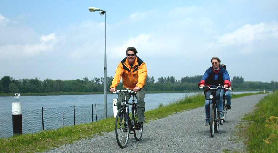 Radeln auf dem
                      Rheindeich